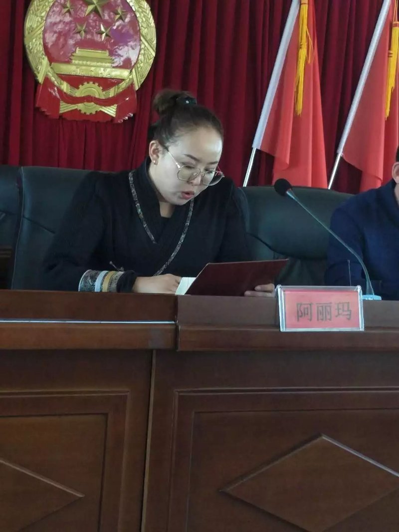 陈旗政府门户网站：解锁政务新窗口