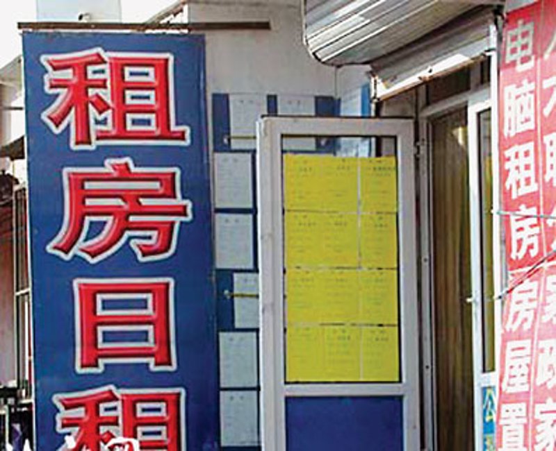 探索陈旗政府门户：开启便捷生活新方式